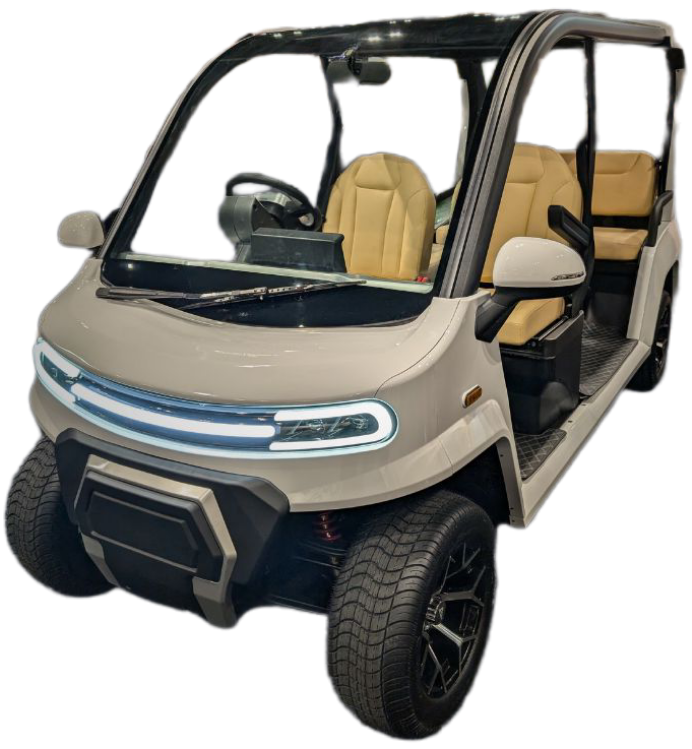 Denago City Car