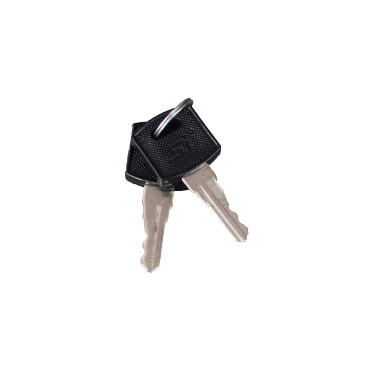 Evolution Golf Cart D5 KEY For Locking Dash &amp; Rear Storage Box (2 Keys)