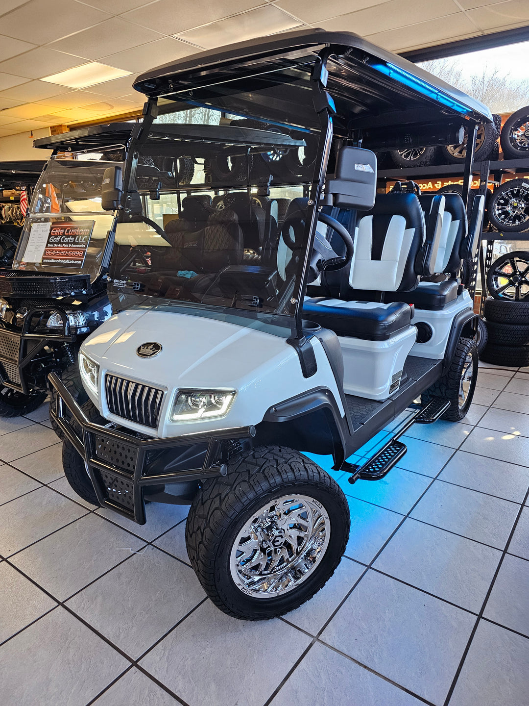 Evolution D5 Golf Cart Tinted Windshield Fits Evolution D5 Models